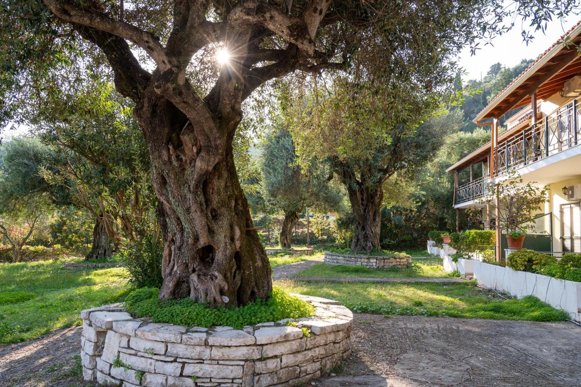 Villa Rita & Helena Kalami  Exterior foto